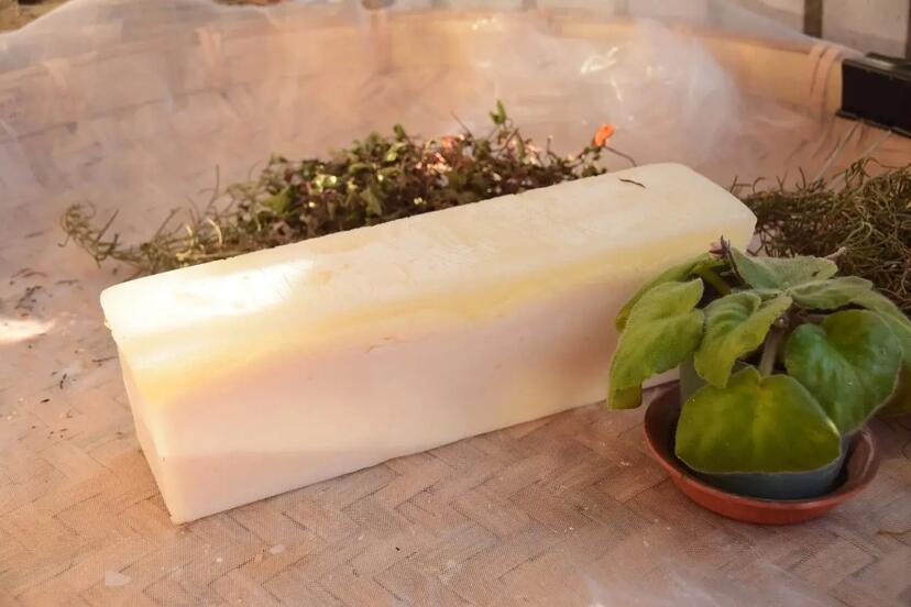 Savon ménager pour la vaisselle