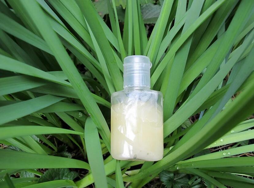 Gel hydroalquolique naturel